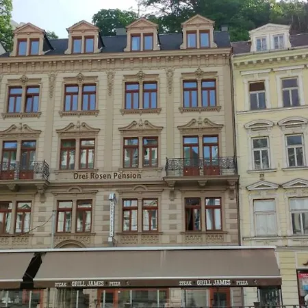Guest house Drei Rosen Karlovy Vary