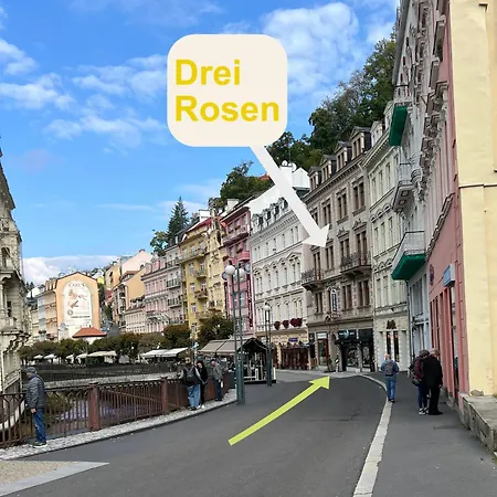 Drei Rosen